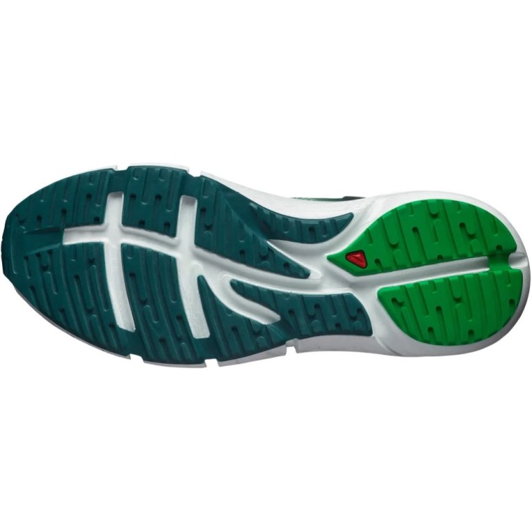 Green Salomon Predict 2 Men's Running Shoes | PH 20314K